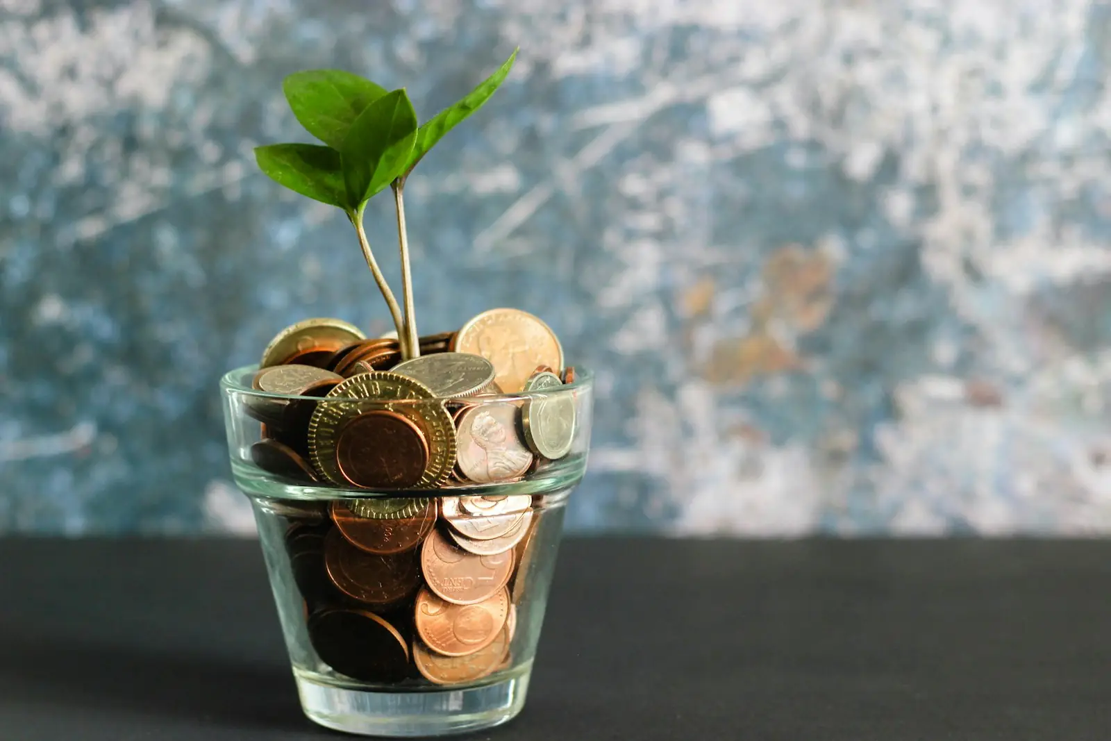 A plant growing in a jar of coins